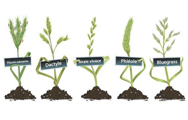 Enfin brille le soleil