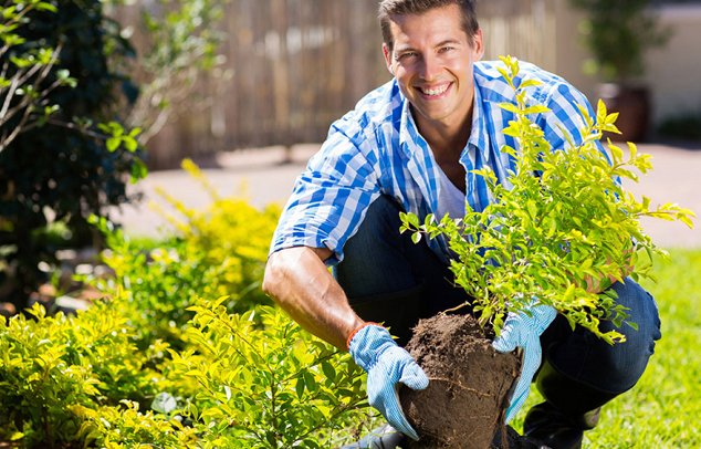 Jardin sans Allergenes